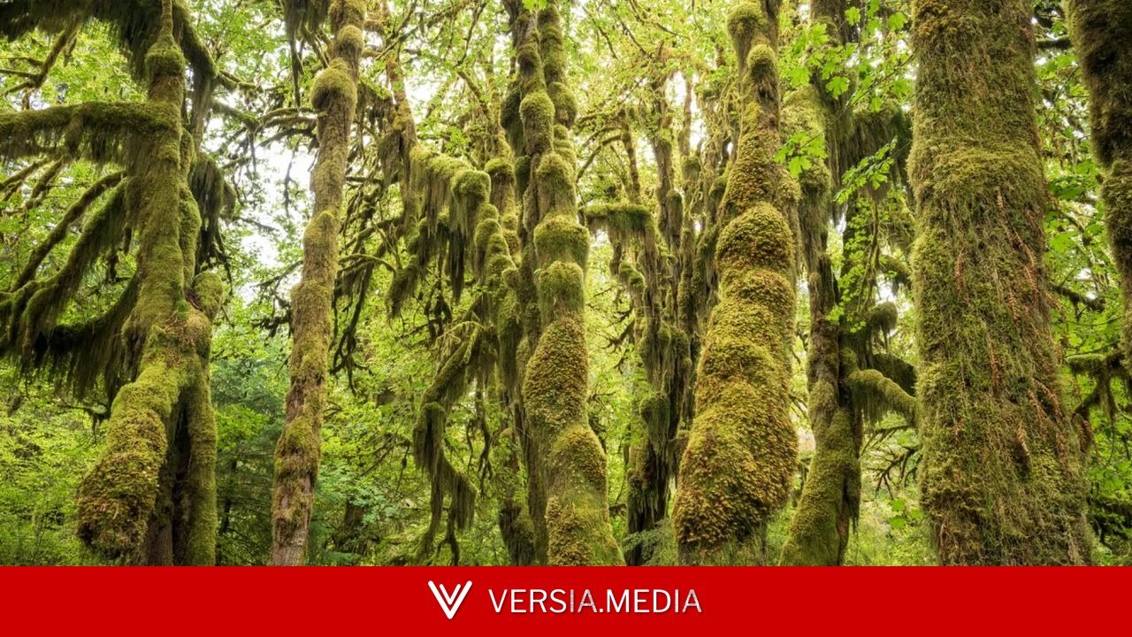 Estas son las maravillas naturales del mundo más infravaloradas