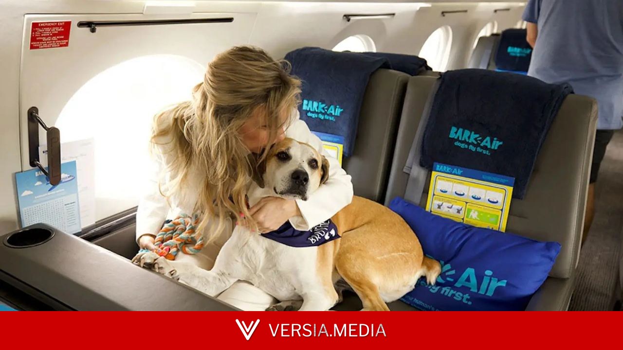 ¿Cuáles son las mejores aerolíneas de Europa para viajar con mascotas?
